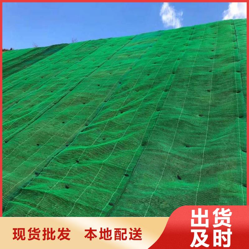 【三维植被网聚丙烯纤维严选用料】