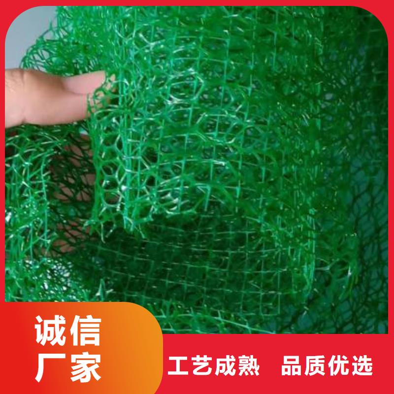三维植被网土工膜产地采购