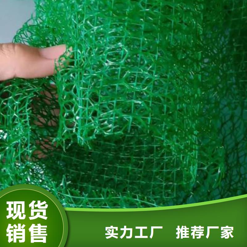 【三维植被网_铜片止水本地配送】