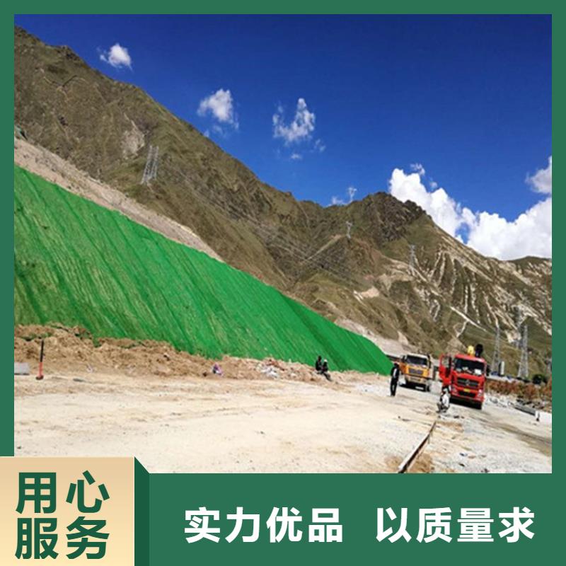 三维植被网螺旋形聚乙烯醇纤维厂家直销大量现货