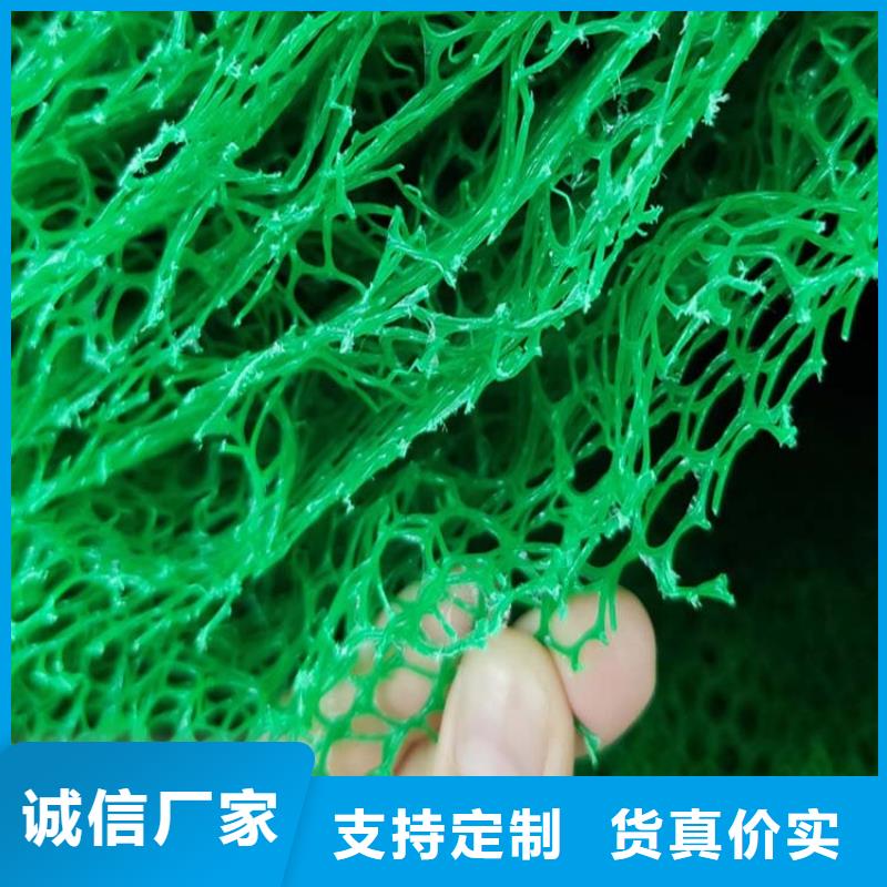 三维植被网土工膜产地采购