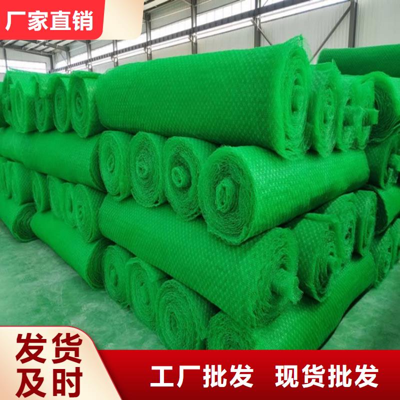 【三维植被网止水铜片拒绝差价】