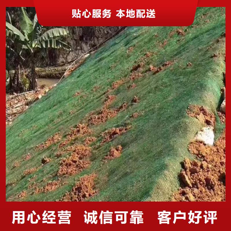 三维植被网土工膜产地采购