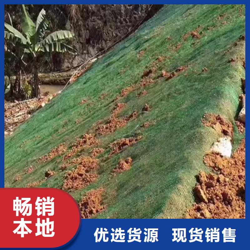 三维植被网土工格栅实力工厂