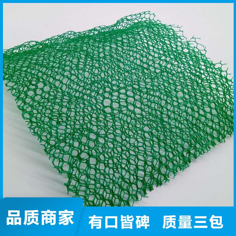 【三维植被网_铜止水专心专注专业】