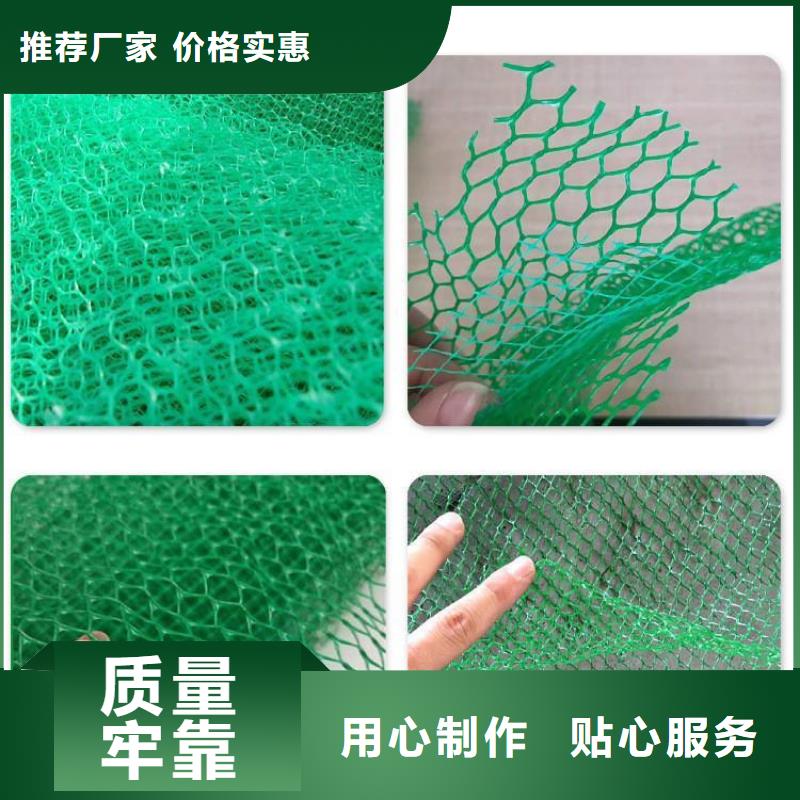 三维植被网土工格栅实力工厂
