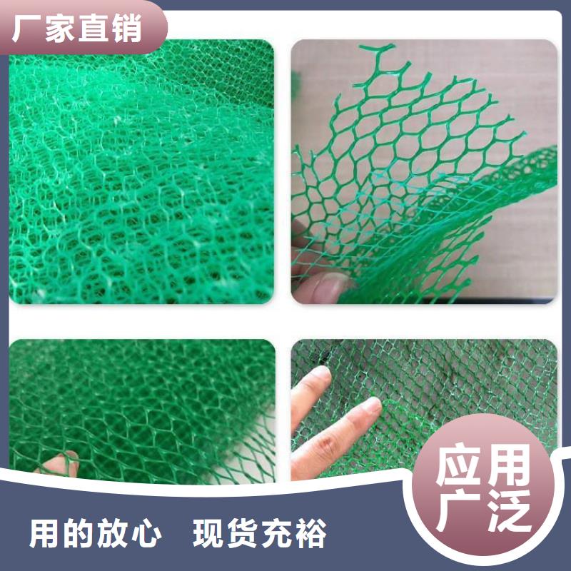 【三维植被网_铜片止水本地配送】