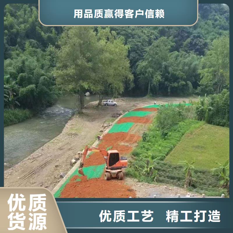 三维植被网土工格栅实力工厂