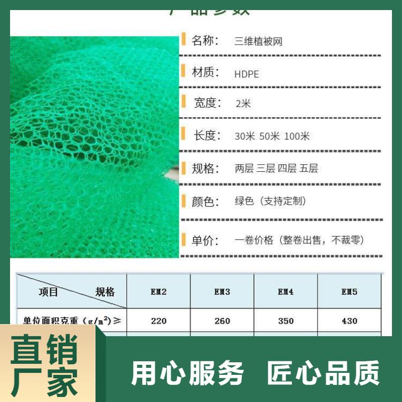 三维植被网,止水铜片一站式厂家