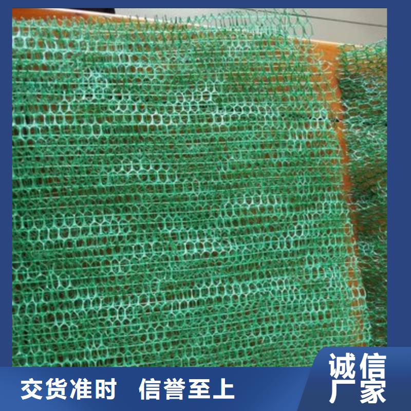 三维植被网土工格栅实力工厂