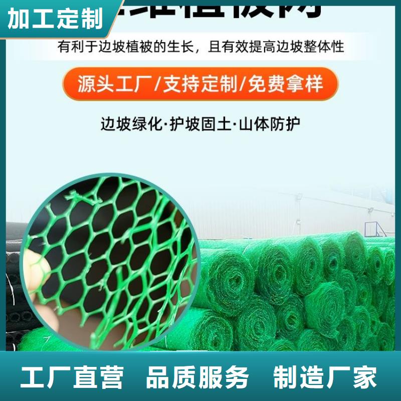 三维植被网,沥青木丝板好产品不怕比