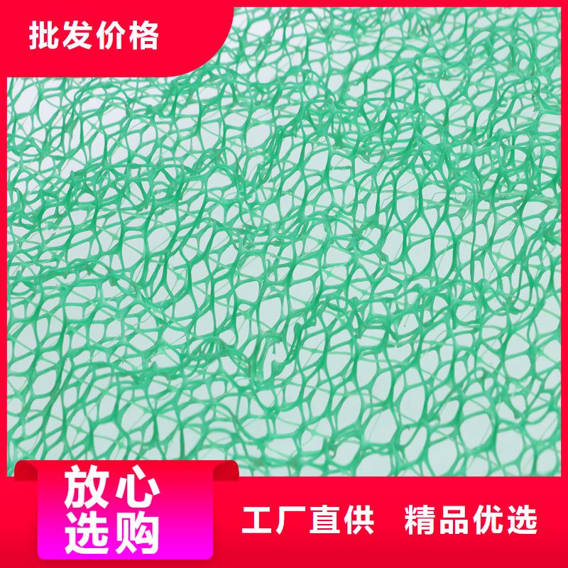 三维植被网,土工布一站式采购商