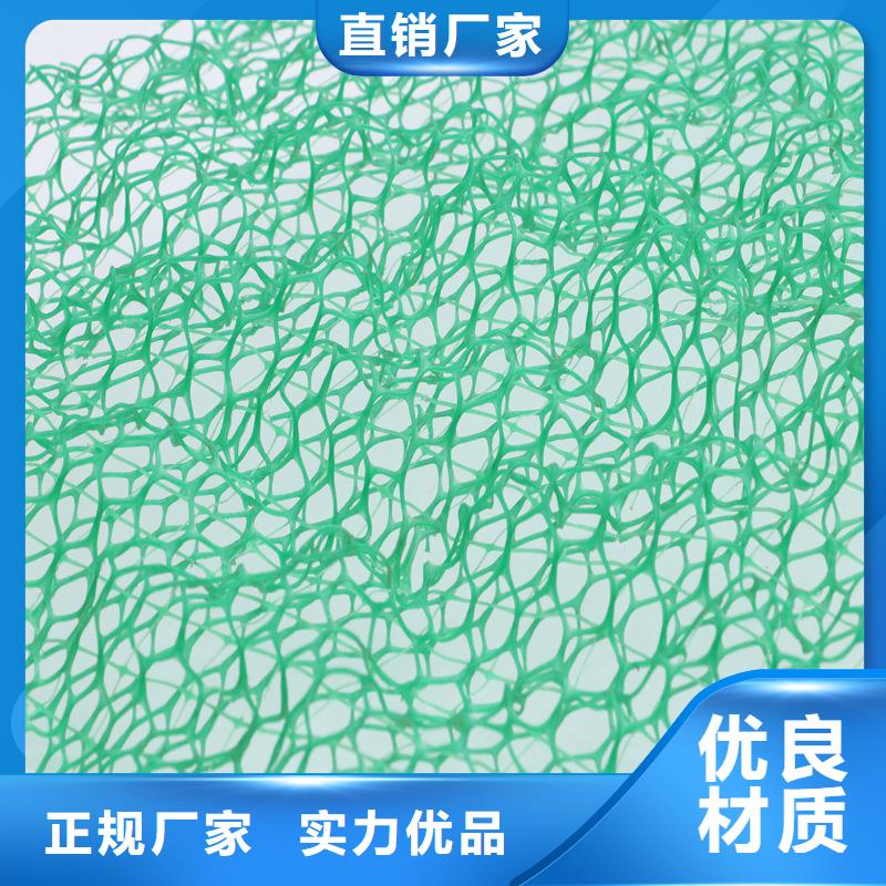 三维植被网,止水铜片一站式厂家