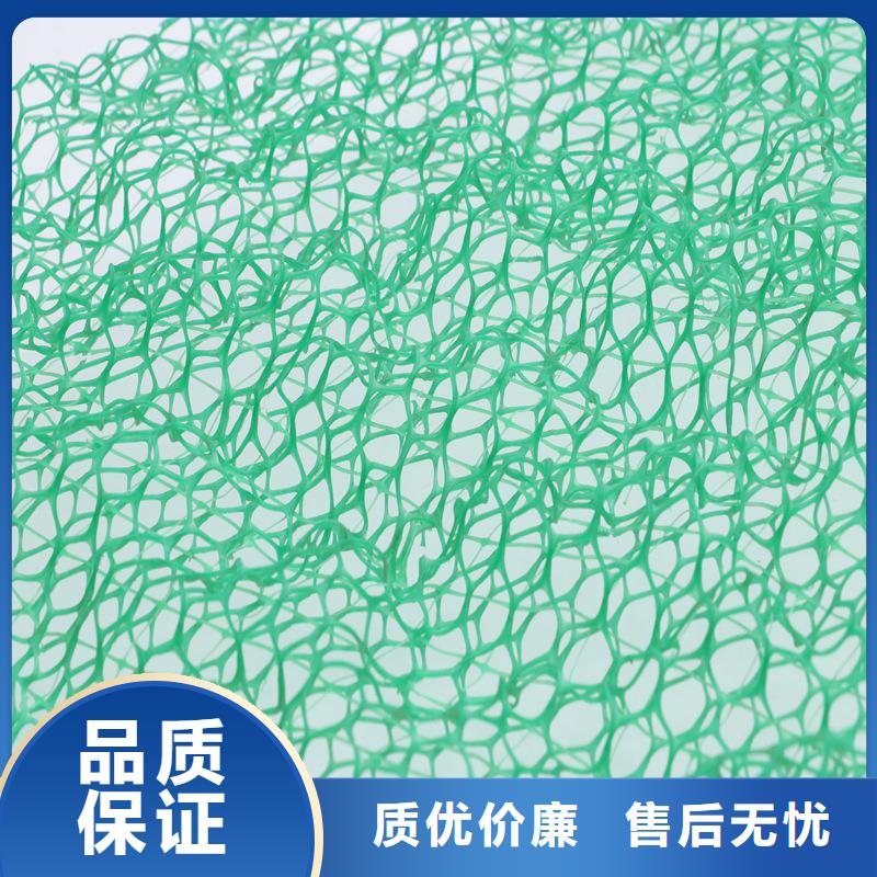 三维植被网,沥青木丝板好产品不怕比