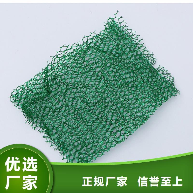 三维植被网土工格栅实力工厂