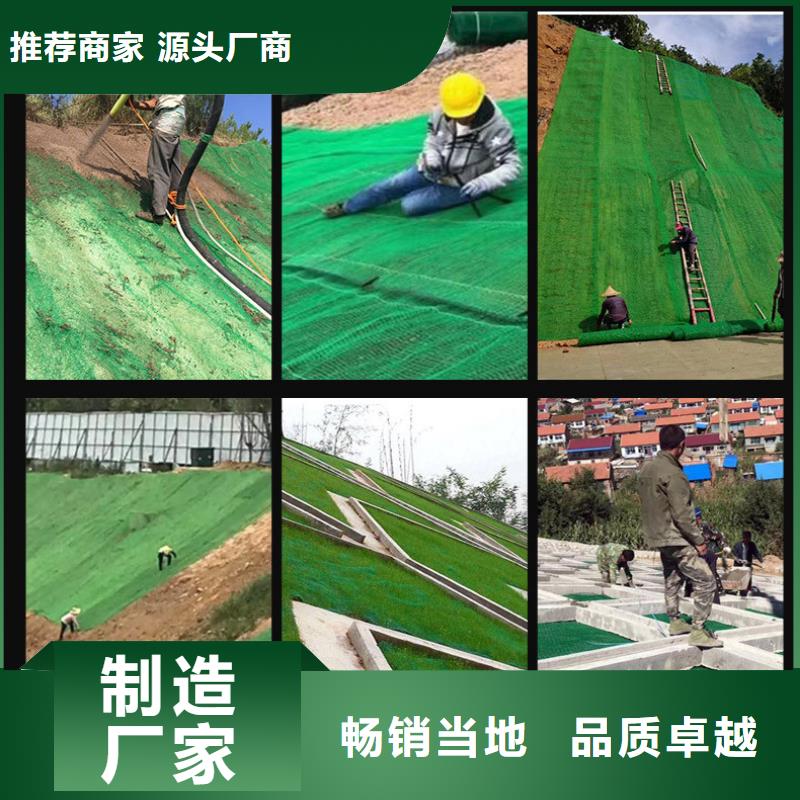 三维植被网土工膜价格合理