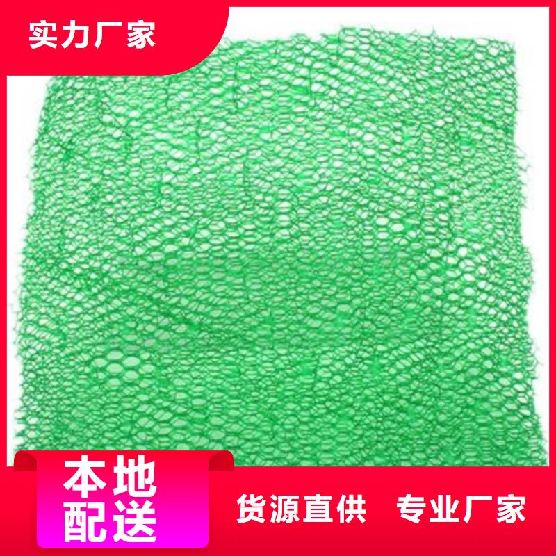 三维植被网渗水盲管口碑好实力强