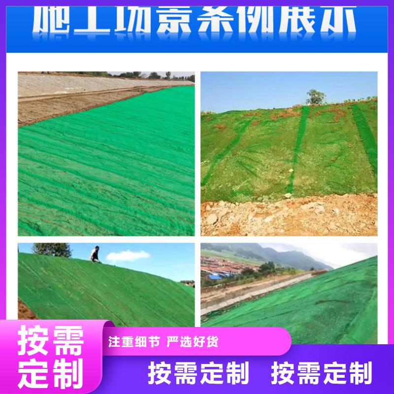三维植被网_仿钢塑钢纤维供应采购