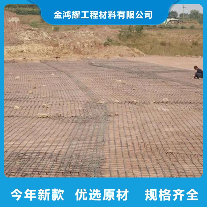 钢塑土工格栅型号实体大厂价格