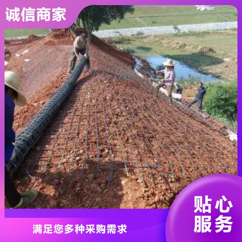 土工格栅产品介绍厂家