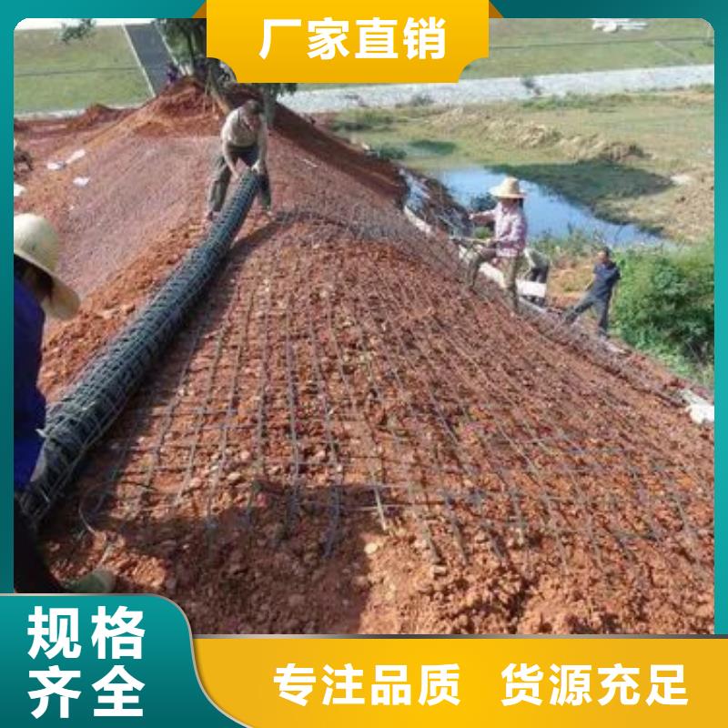 单向土工格栅图片10年经验