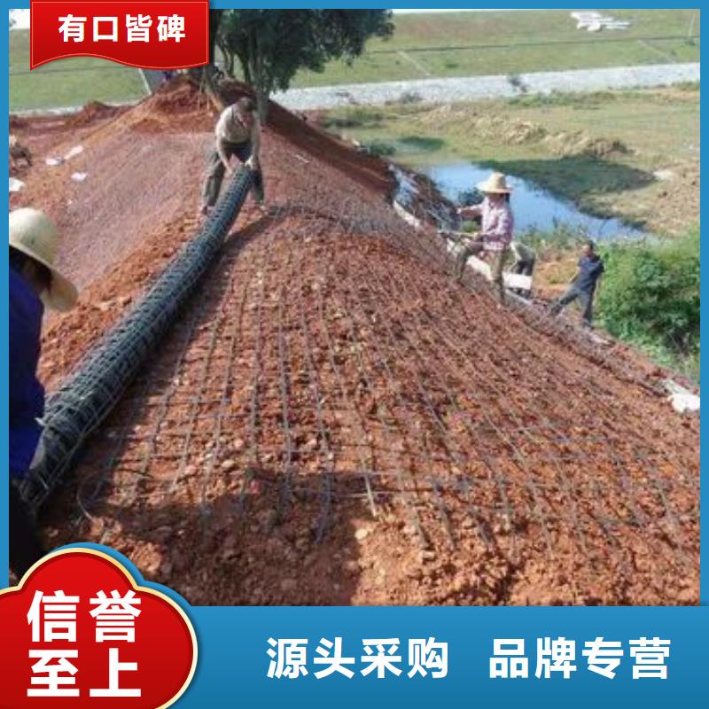土工格栅图片售后无忧厂家