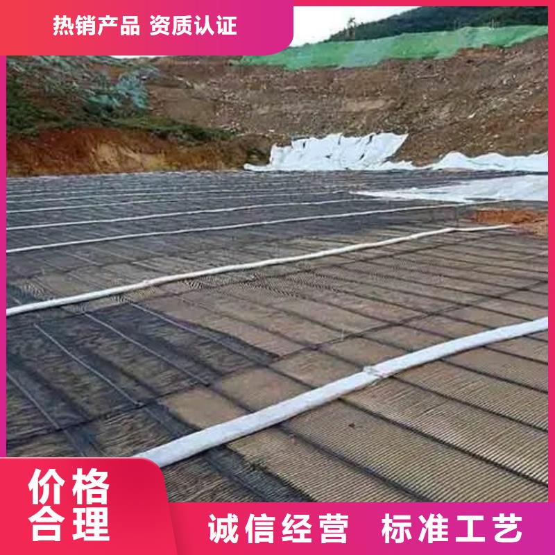 土工格栅价格是多少钱一平方实业厂家