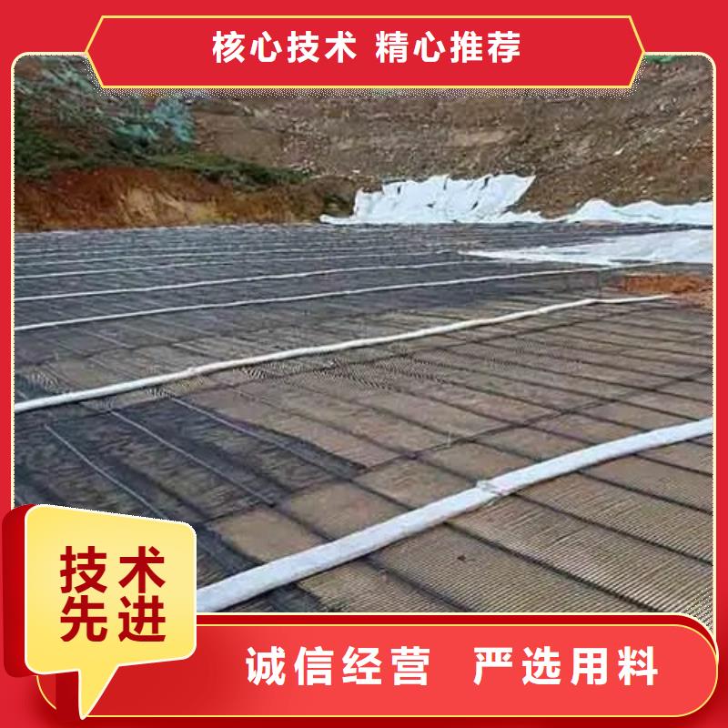 塑料格栅近期行情价格