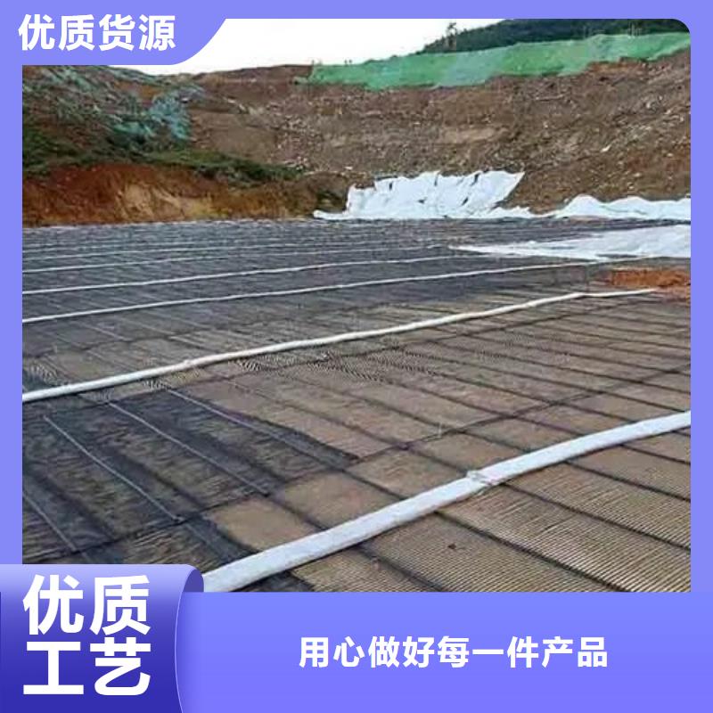 三维土工格栅网实力老厂