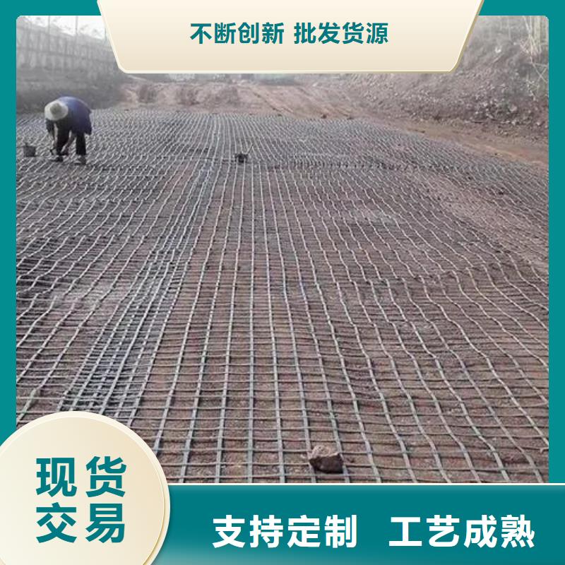 土工格栅聚丙烯纤维诚信为本