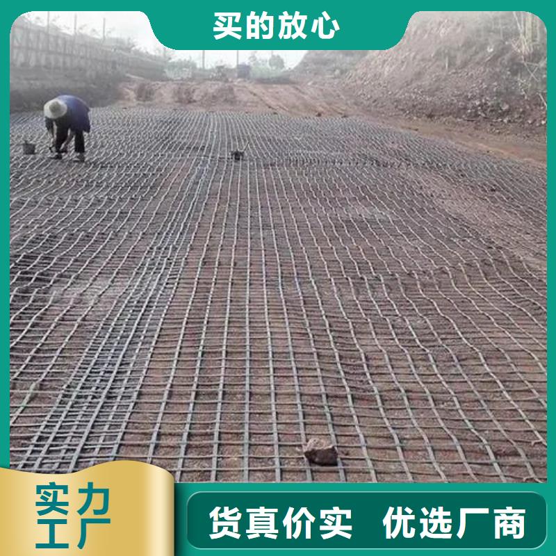 土工格栅铜片止水厂家品质无所畏惧