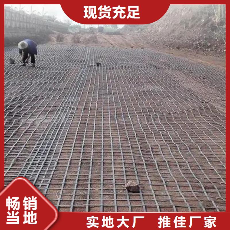 钢塑土工格栅生产厂加工定制