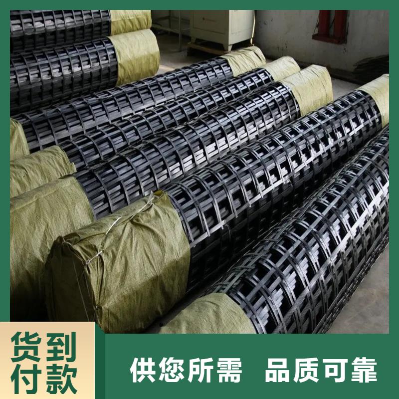 塑钢土工格栅图片销售厂家