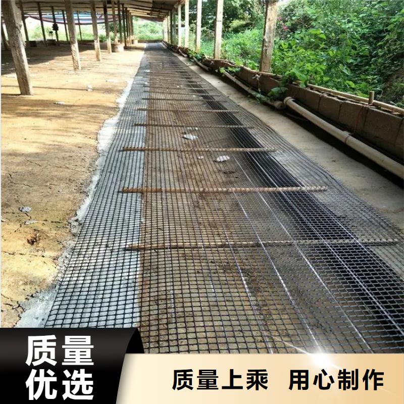 单向土工格栅图片10年经验