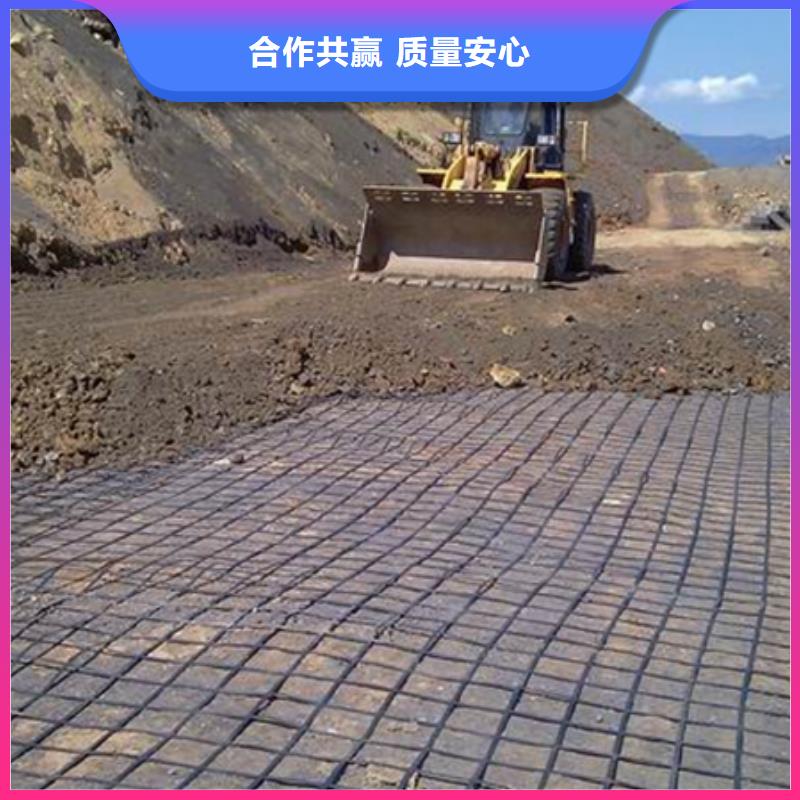 三维土工格栅网实力老厂