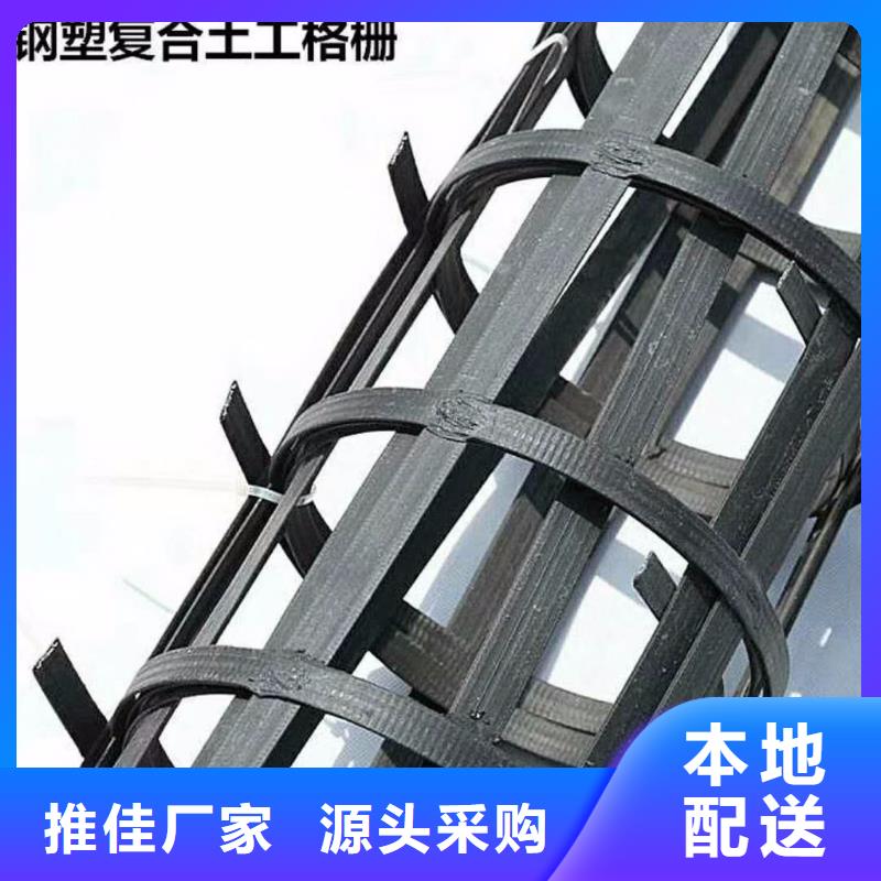 琼中县钢塑土工格栅型号直供厂家厂家