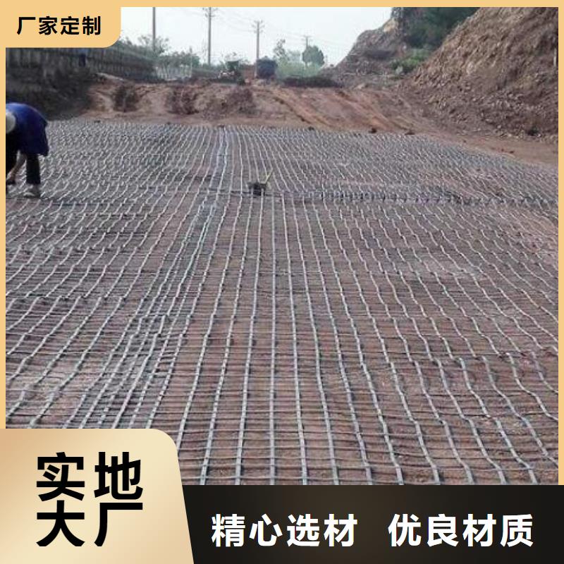 钢塑土工格栅型号实体大厂价格