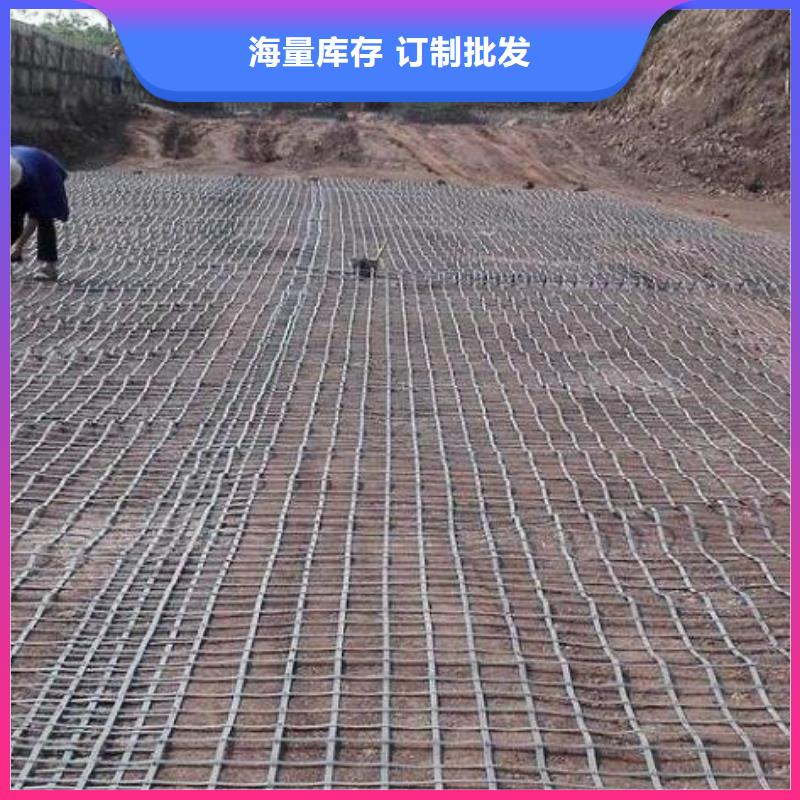 塑钢土工格栅图片质保一年价格