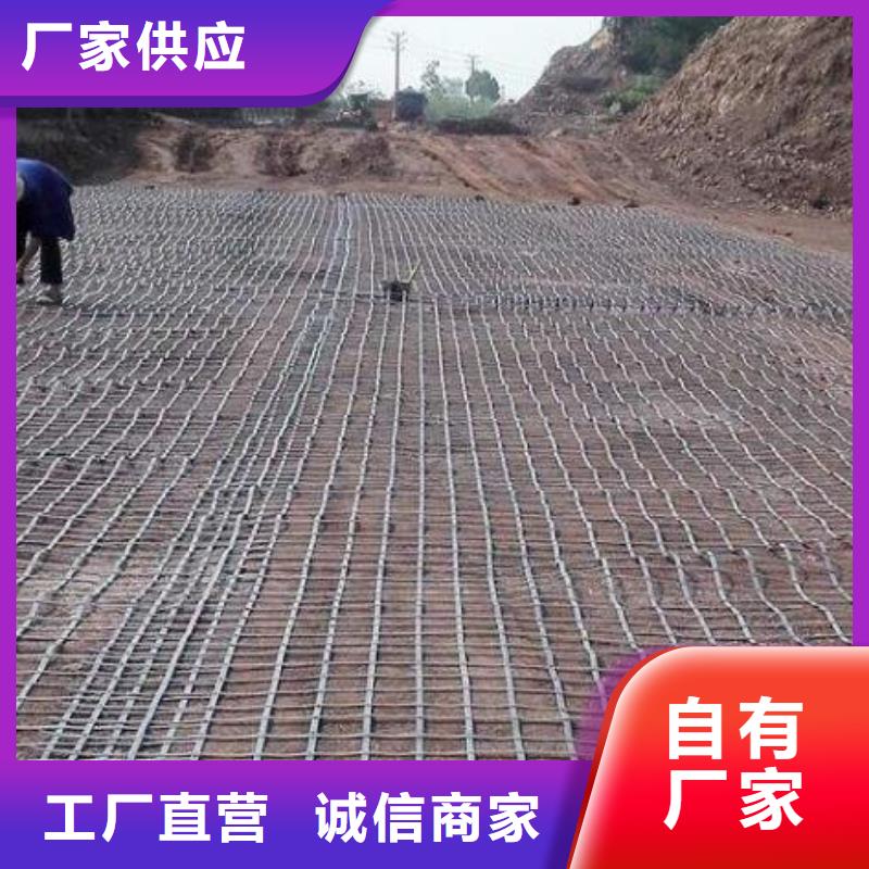 【土工格栅铜片止水分类和特点】