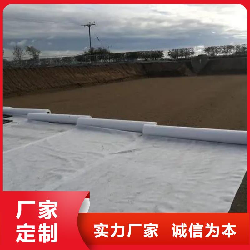 【土工布-水平止水铜片无中间商厂家直销】