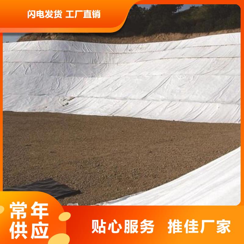 【土工布铜止水生产厂家海量货源】