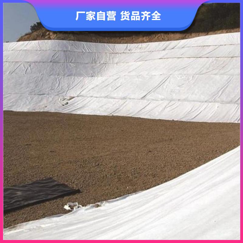 土工布土工格栅闪电发货