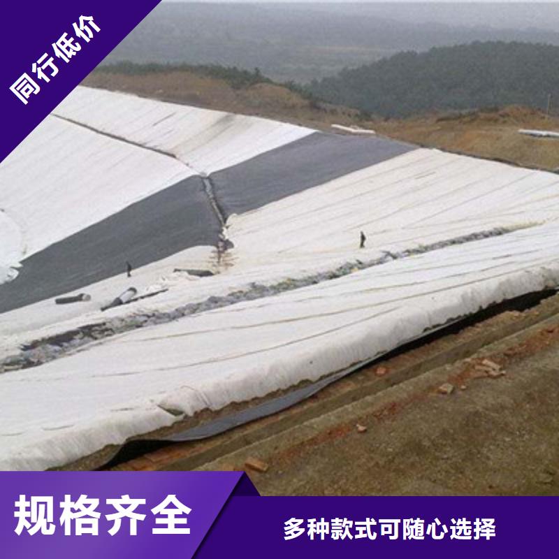 【土工布】铜片止水厂家敢与同行比质量
