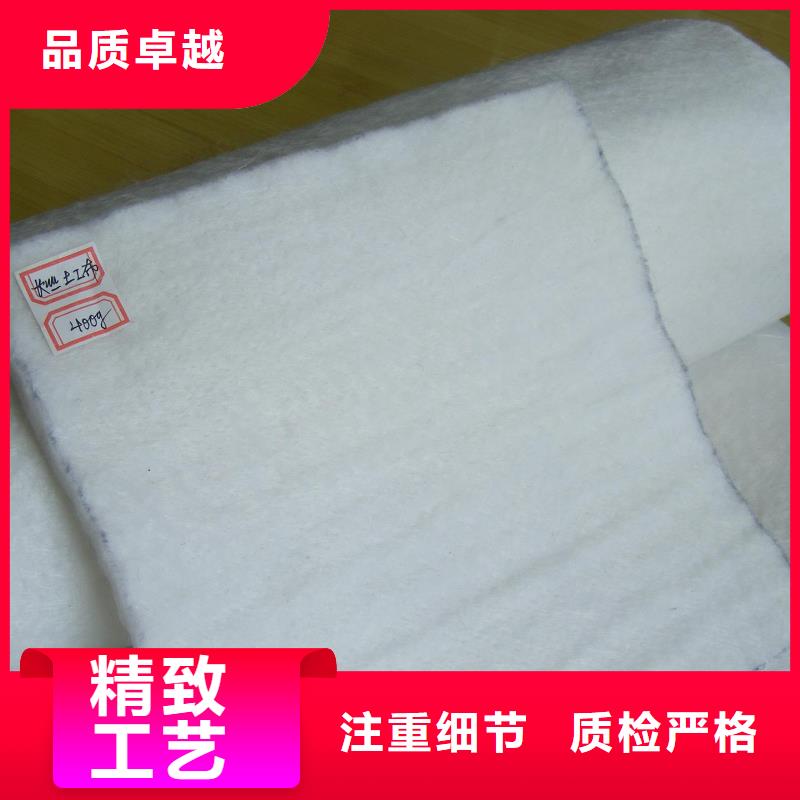 土工布渗排水网垫价格实惠工厂直供