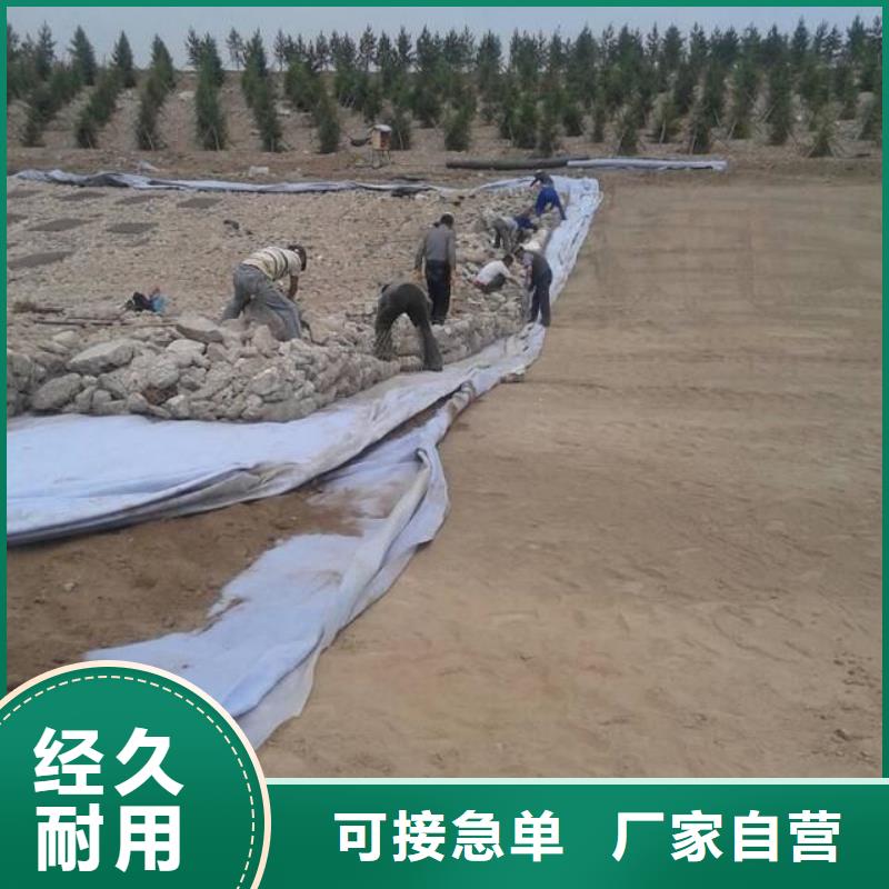 土工布土工膜让客户买的放心