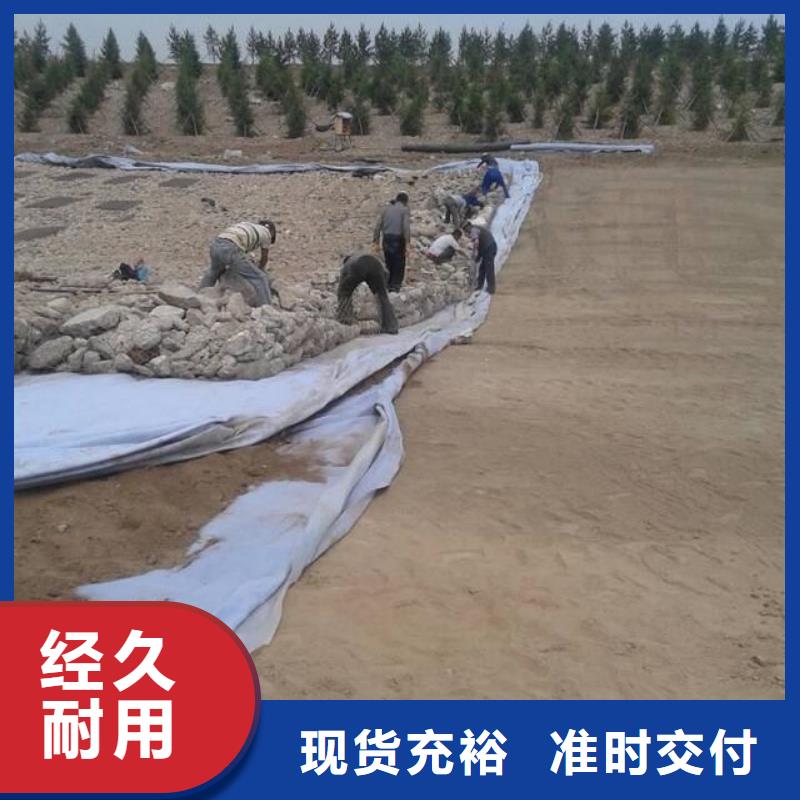 【土工布】铜止水生产厂家快速生产