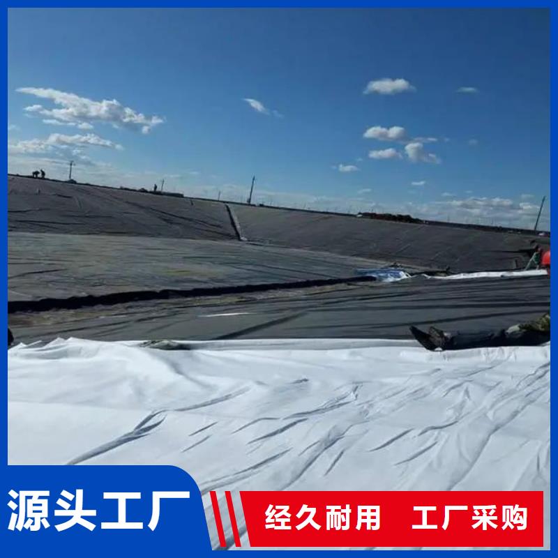 【土工布聚乙烯醇纤维厂家新品】