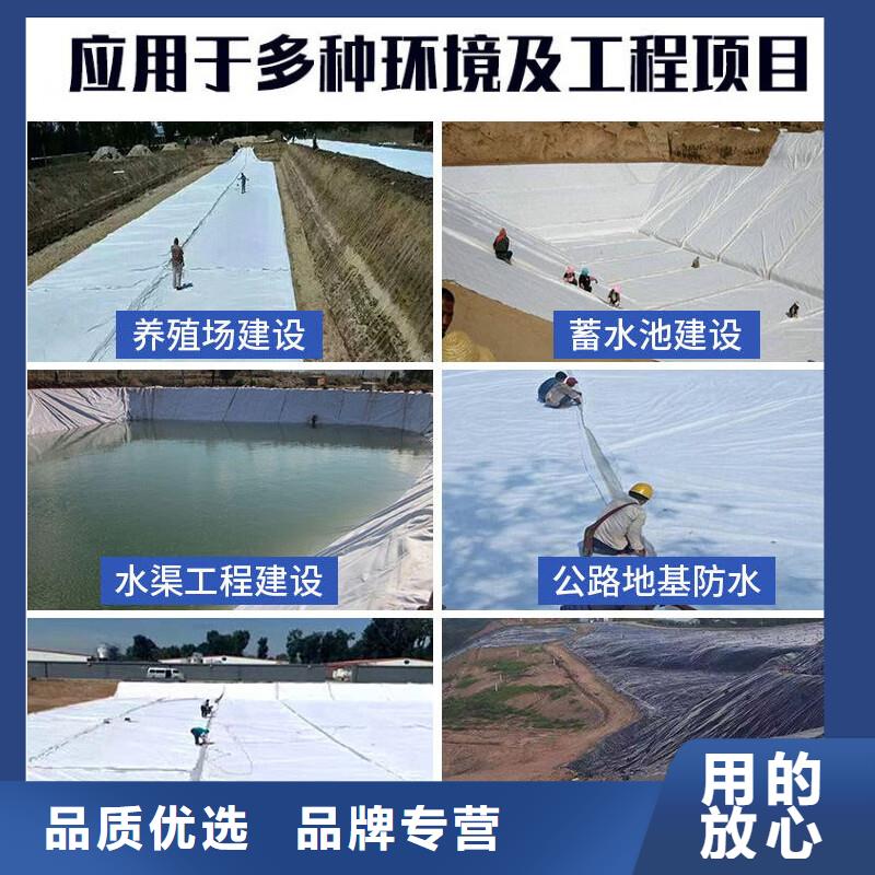 【土工布-水平止水铜片无中间商厂家直销】