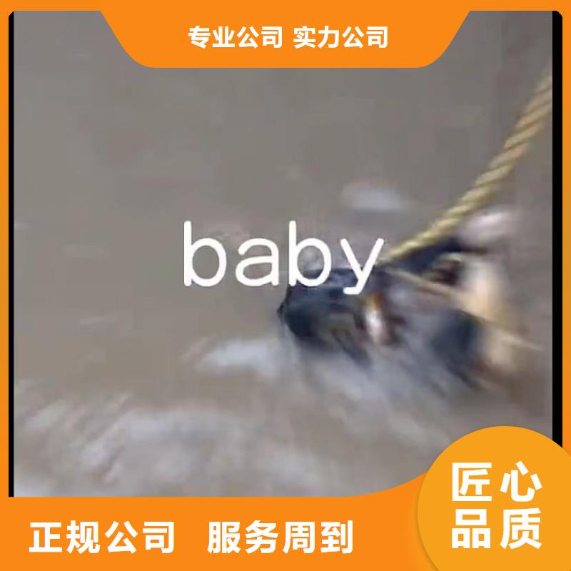 水下安装,水下安装服务注重质量