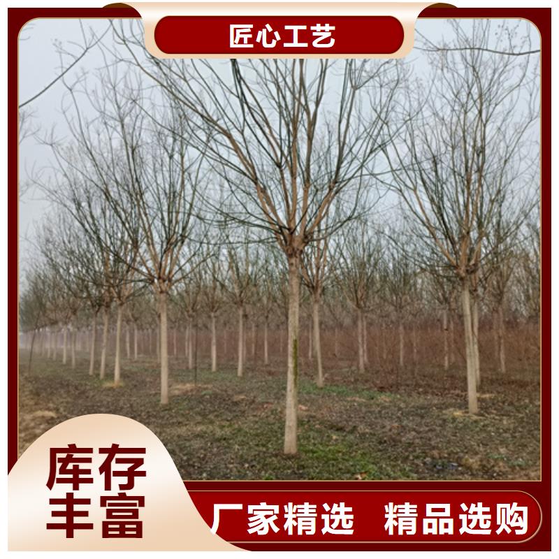 法桐白蜡安装简单